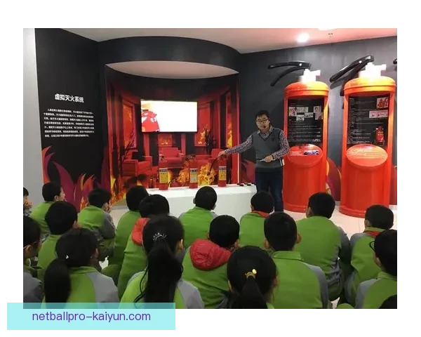 爱尔兰世界杯历史回顾，辉煌时刻与未来展望值得关注