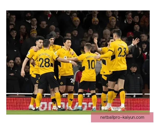 英超狼队伤病潮持续，球队状态受到明显影响